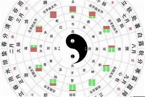 猪五行|属猪在金木水火土五行里属什么